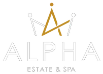 logo_header